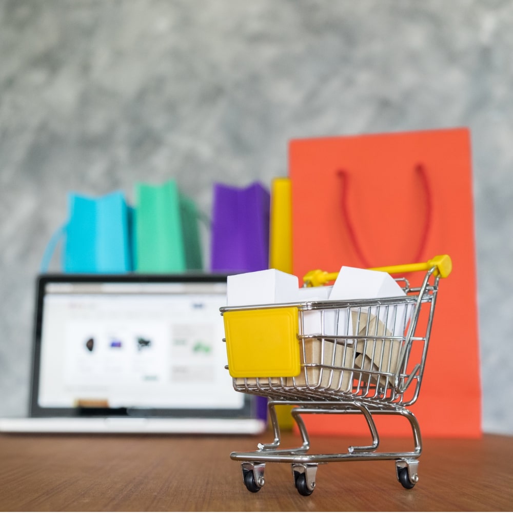 Ecommerce Website Development Services