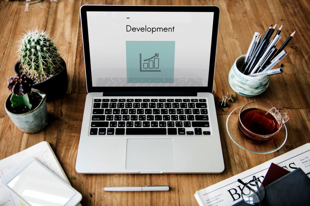 web development meerut