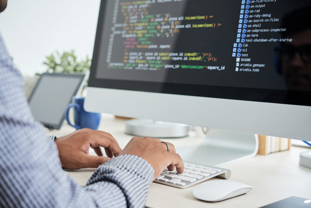 website development meerut