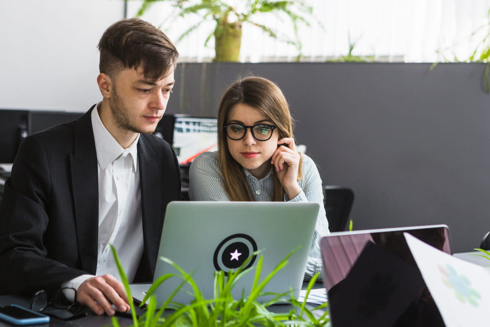 SEO Company in Meerut